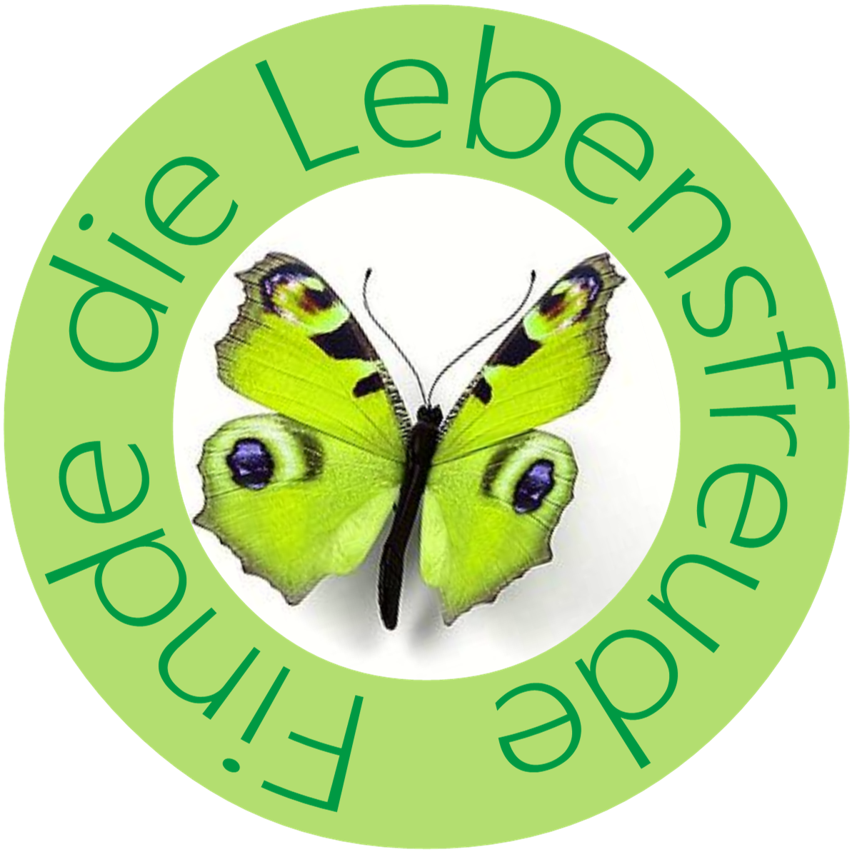 Logo Lebensfreudefinden Christine Riemer Mathies